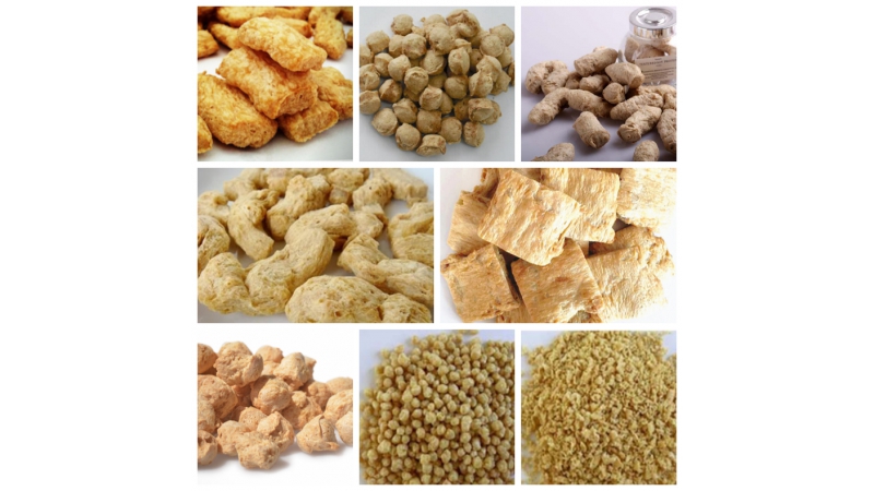 Textured Soya Protein Process Line