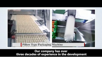 Pillow Type Packaging Machine