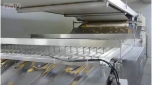 Biscuit Packaging Machinery