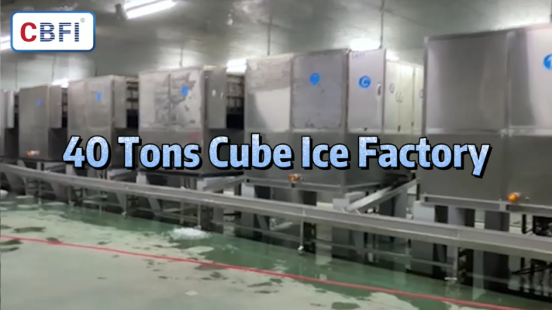 Cube Ice Factory