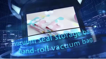Vacuum Seal Storage Bag
