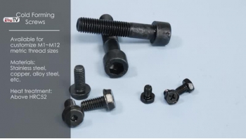 Cold Forming Screws