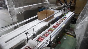 Robotic Pick and Pack Systems