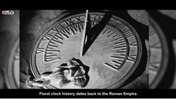 Floral Clocks