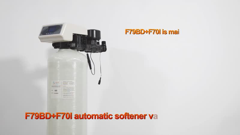 F79 Residential Water Softener Valves & F70I Bypass Valve